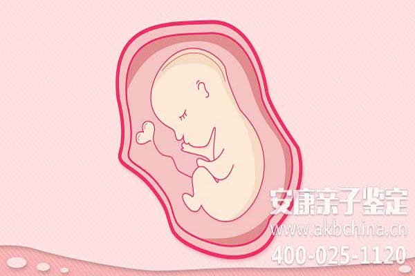江苏胎儿亲子鉴定5周，DNA鉴定无创胎儿过程 